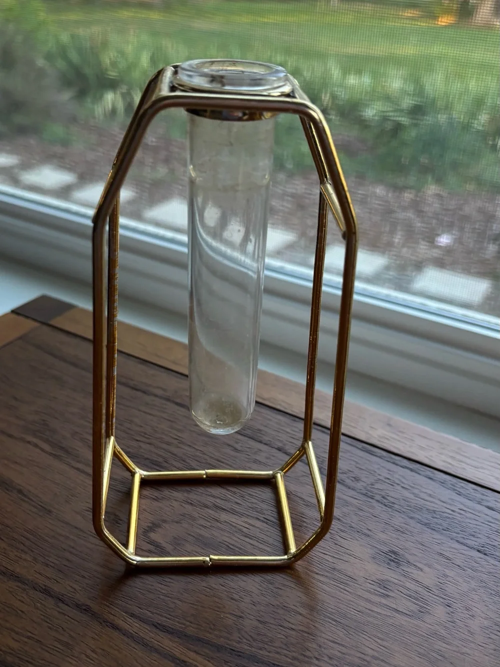 Gold Geometric Single-Stem Vase with Clear Glass Tube